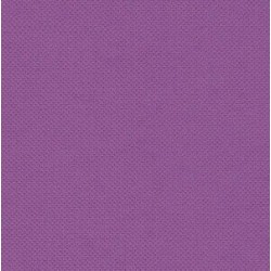 Mini Serviette 20*20 Prune