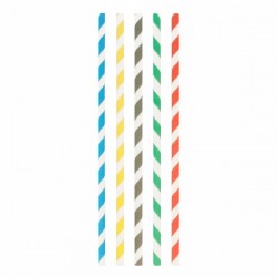 Paille Papier Multicolore 20cm