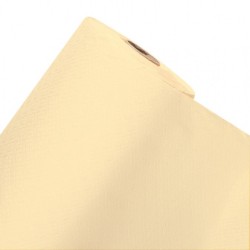 Nappe en Papier Fiesta 50 x 1.20m Ecru