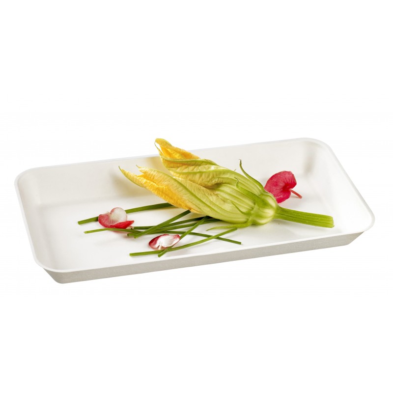 Assiette Kanopée en Canne à Sucre Laminé Blanche 20*10cm Assiette Kanopée en Canne à Sucre Laminé Blanche 20*10cm