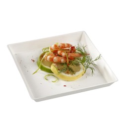 Assiette "Quartz" Fibre...