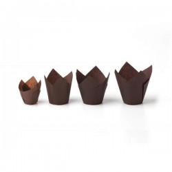 Moule Tulip Marron 160*160*50mm