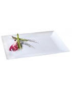 Assiette Fluid en plastique réutilisable et recyclable